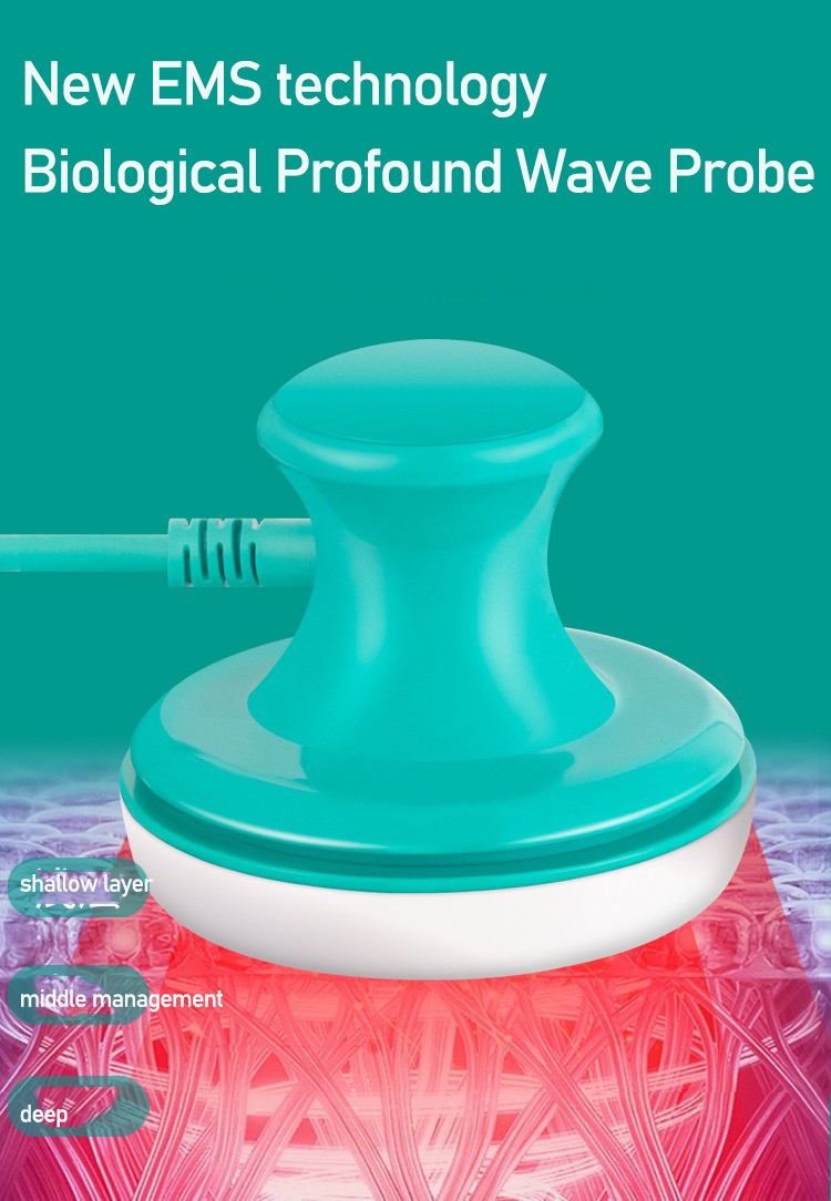 Alat Terapi Salon Kecantikan S - Body Brush ulasan dan harga